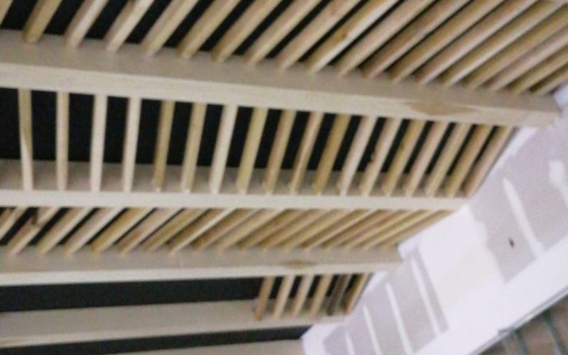 Galeria (112)